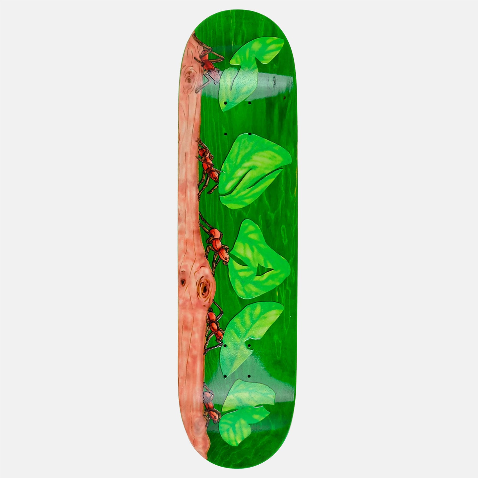 Snack Leafcutter 8.5" Deck Mehrfarbig Bild 1