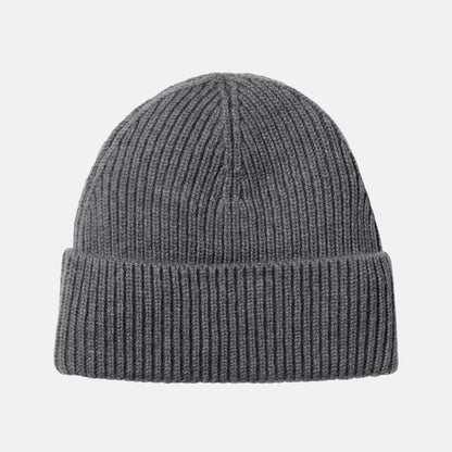 Carhartt WIP Gabe Beanie - Styx
