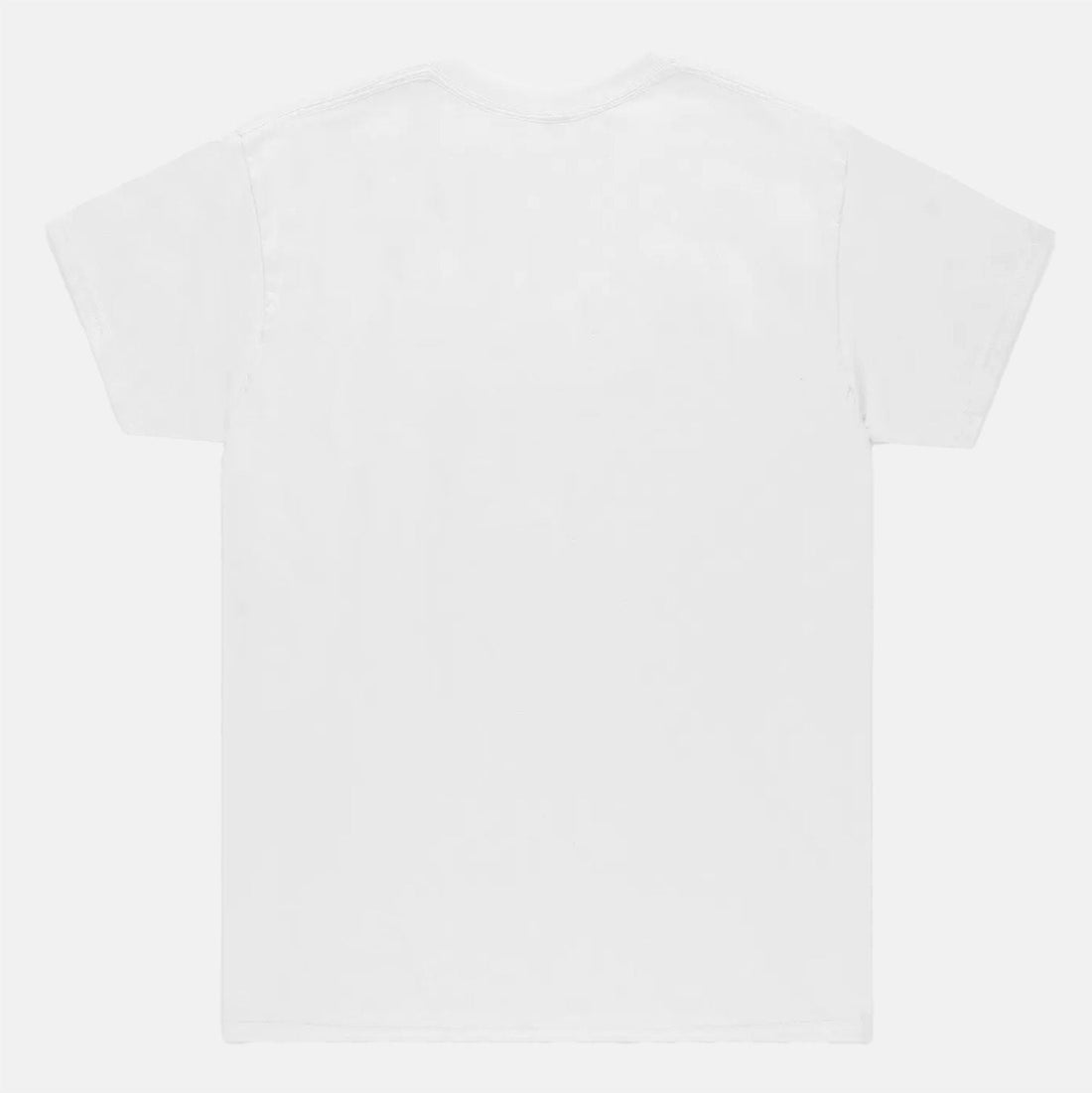 Anti Hero Eagle T-Shirt-white Bild 2