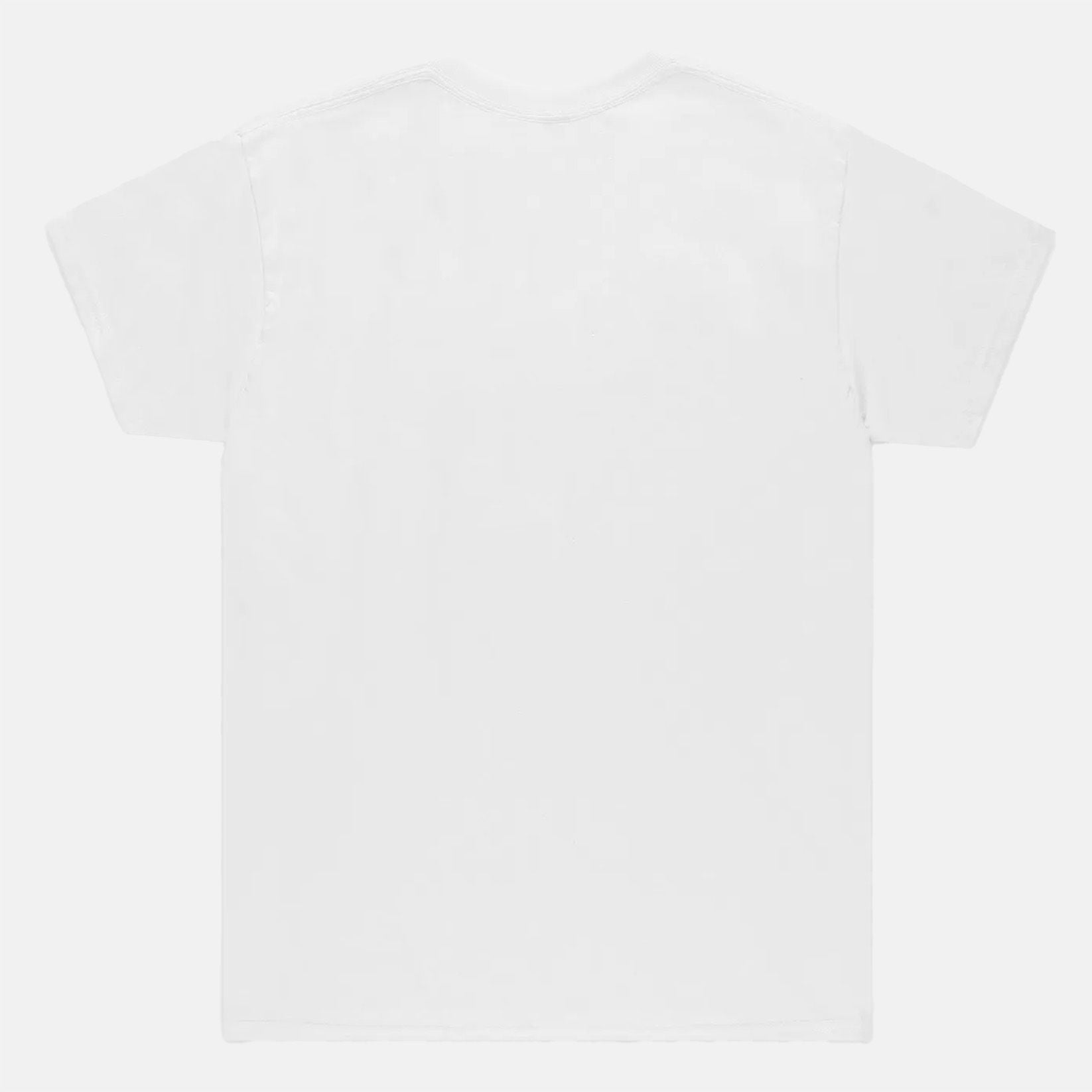 Anti Hero Eagle T-Shirt-white WhiBlaBlue Bild 2