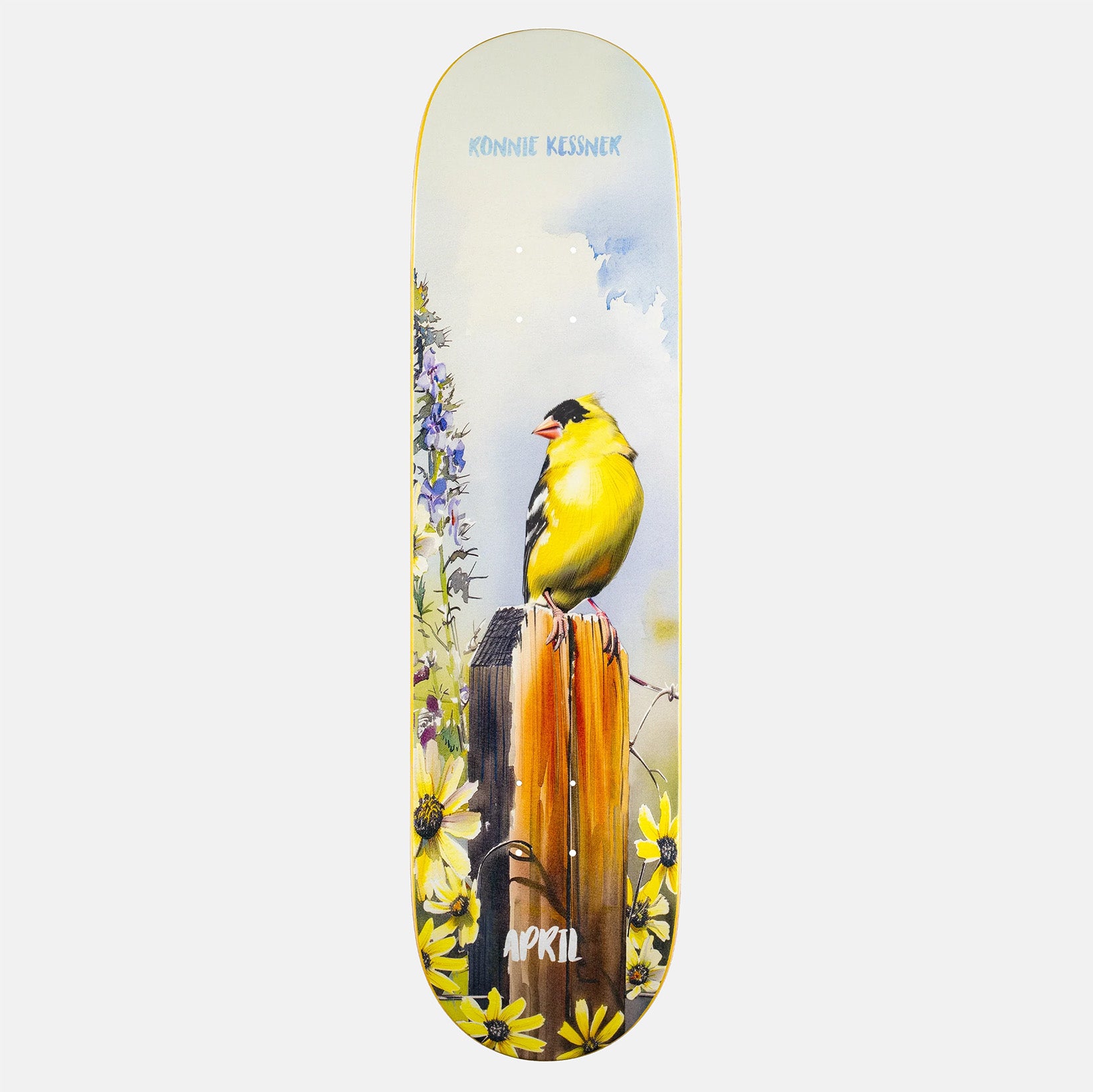 April Ronnie Kessner - Gold Finch Deck 8.0 Mehrfarbig Bild 1