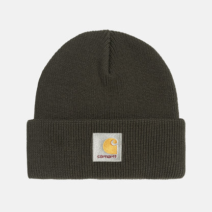 Carhartt WIP Ohio Beanie - Olive Grün Bild 1