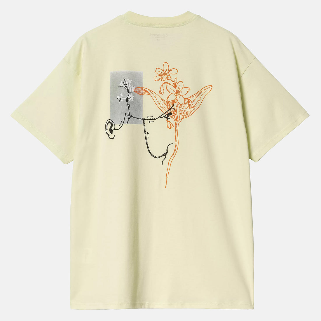 Carhartt WIP Senses T-Shirt - Air Green Grün Bild 1