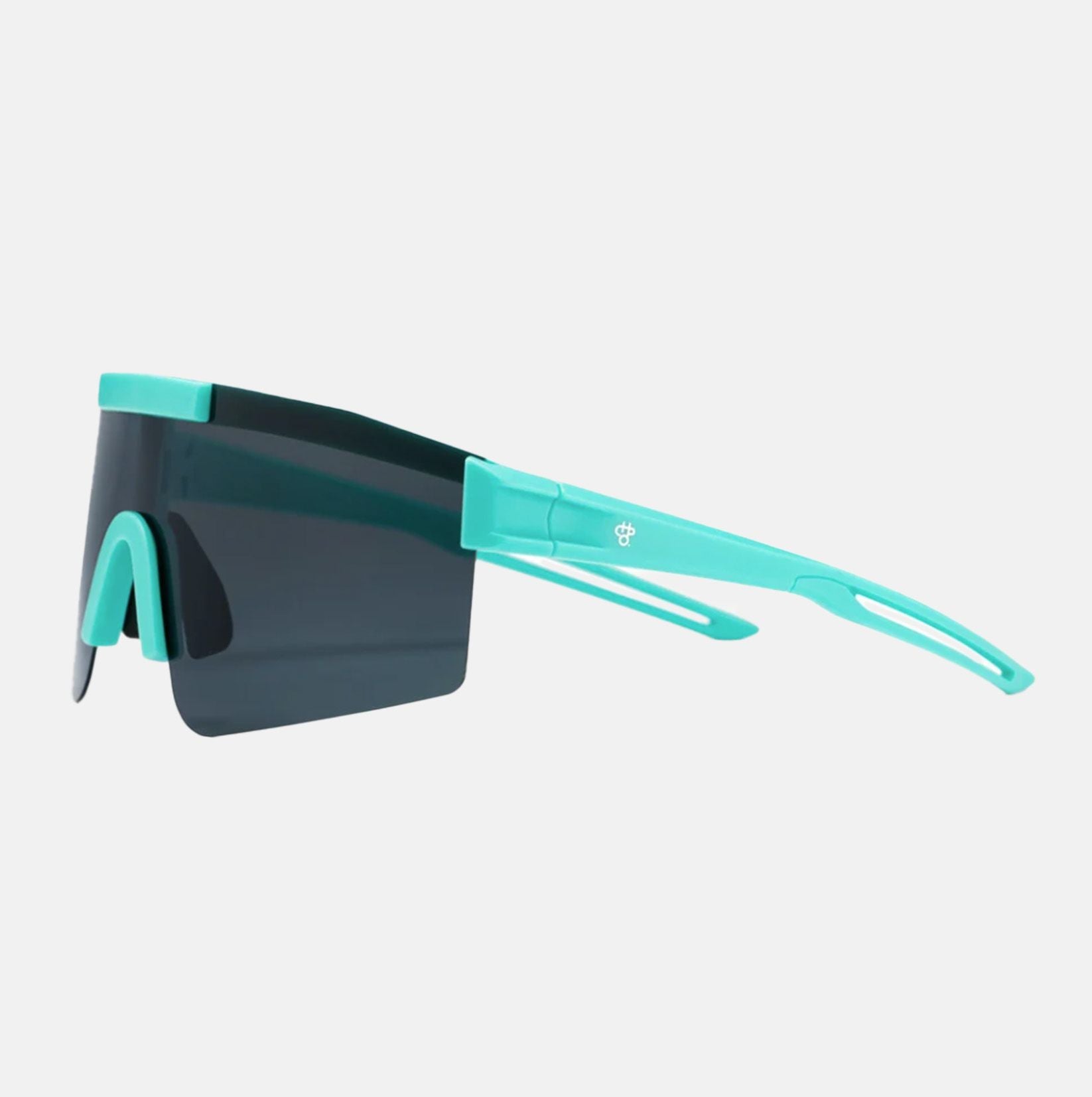Chpo Brand Luca Sunglasses Mehrfarbig Bild 2