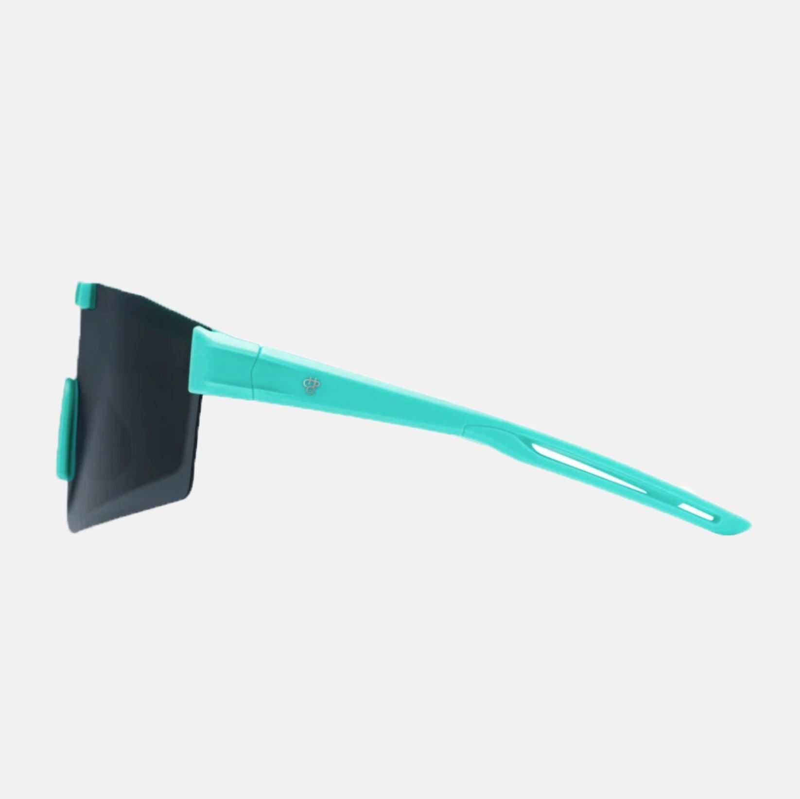 Chpo Brand Luca Sunglasses Mehrfarbig Bild 3