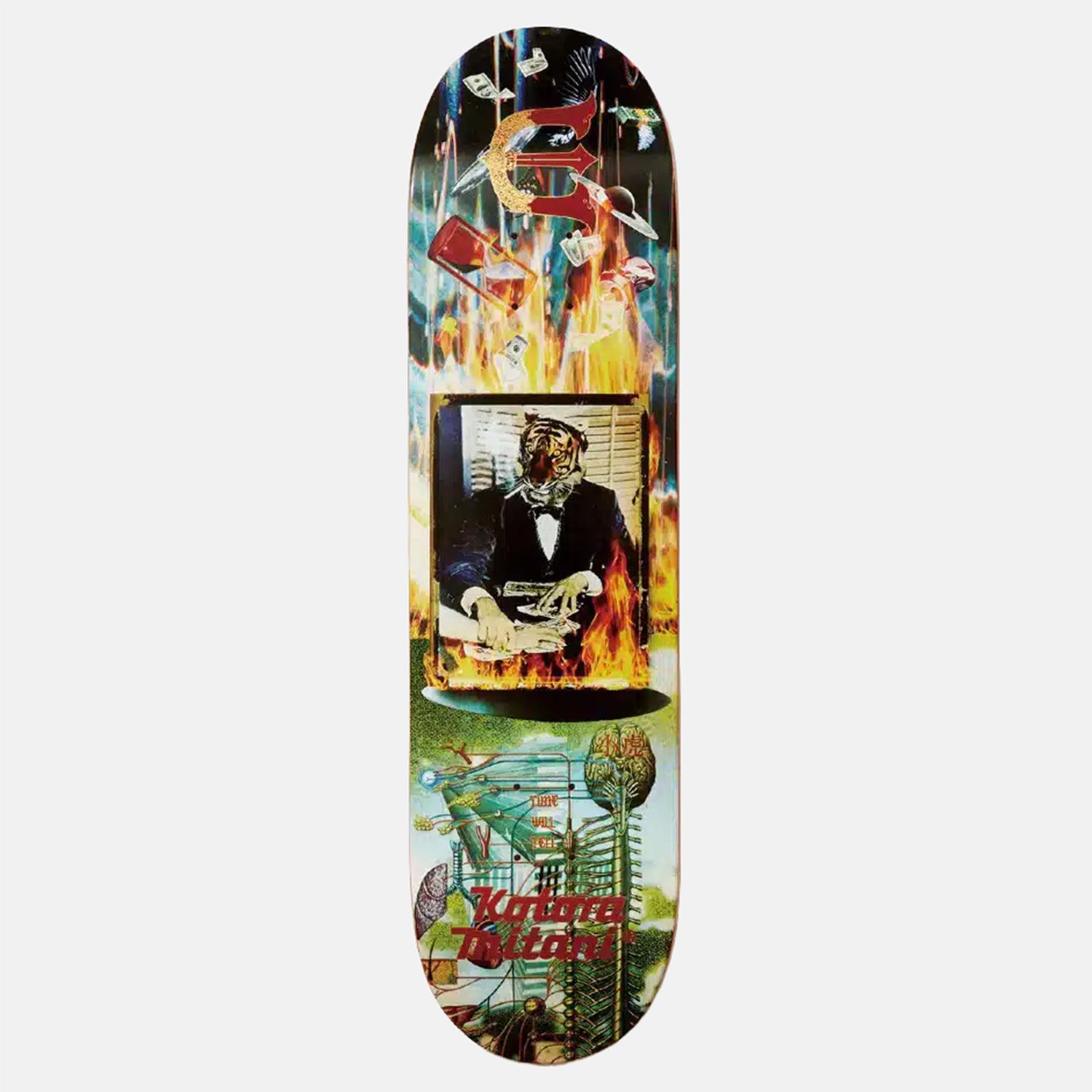 Evisen Kotora Mitani Time Will Tell 8.125" Deck Mehrfarbig Bild 1