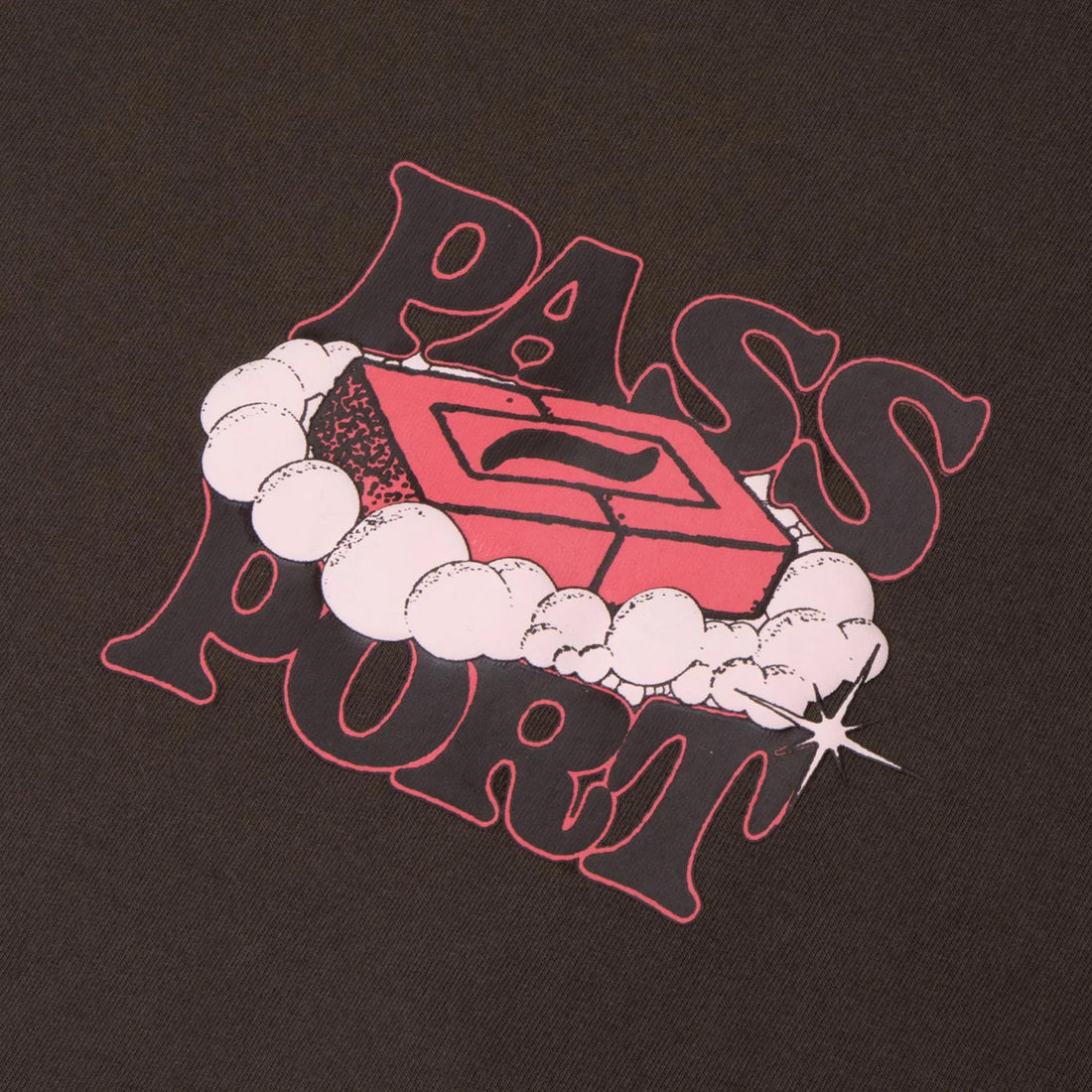 Pass~Port Soap T-Shirt - Brown Braun Bild 2