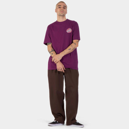 Santa Cruz Grabke Exploding Dot T-Shirt - Fresh Purple, model ganzkörper vorne