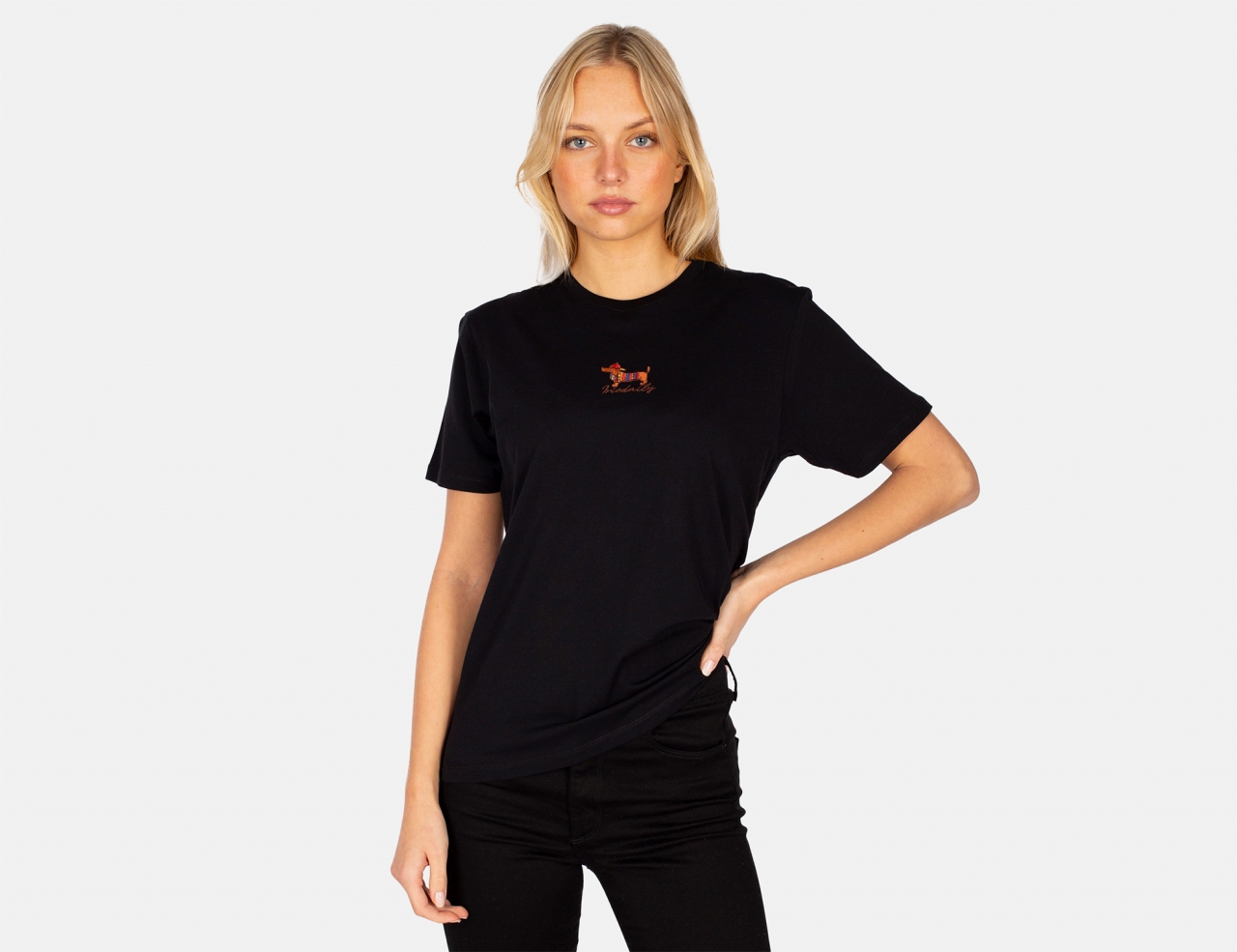 Iriedaily Dacksi T-Shirt - Black