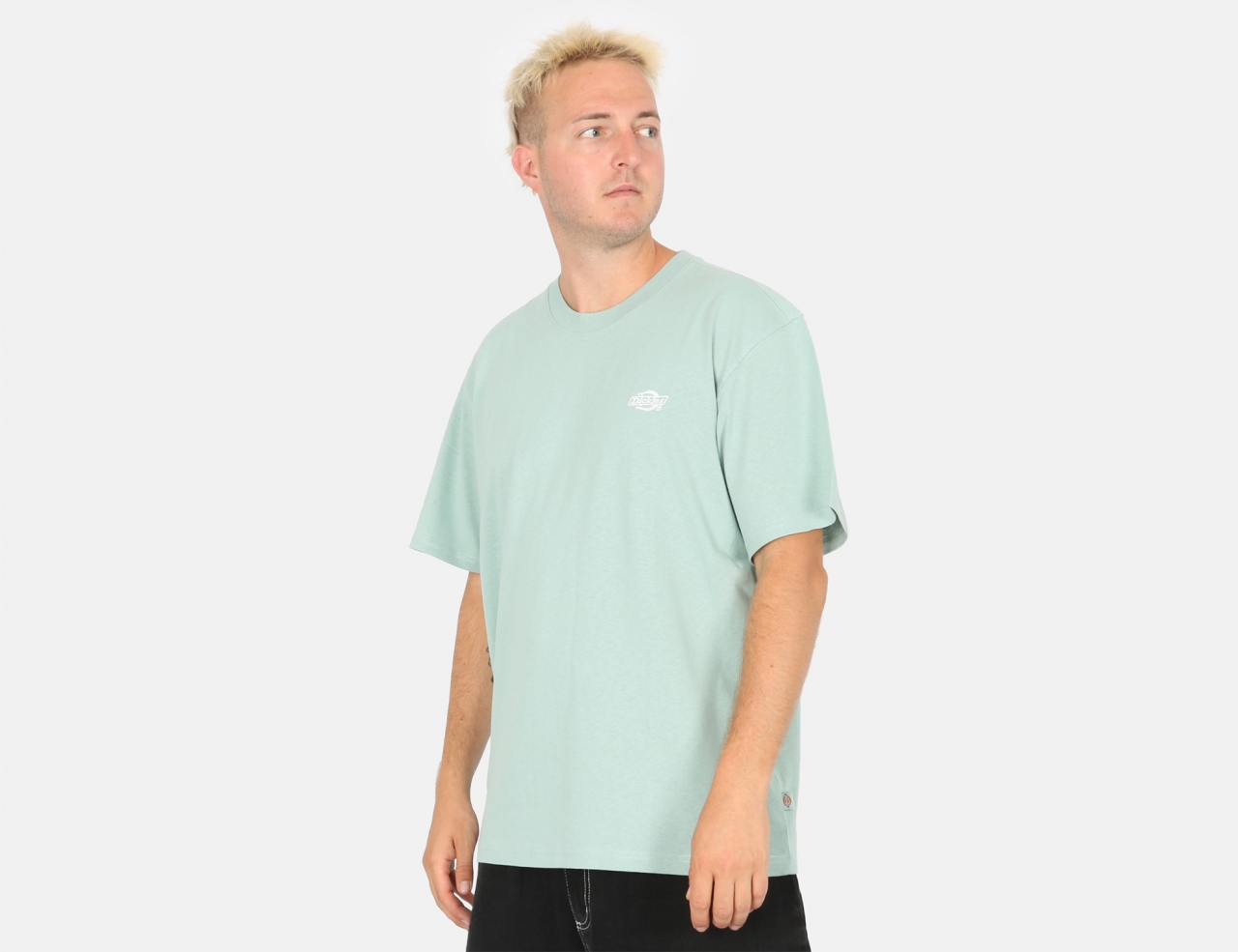 Dickies Summerdale T-Shirt - Blue Surf